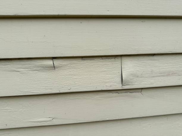 Best Siding Removal and Disposal  in Alexandria, IN